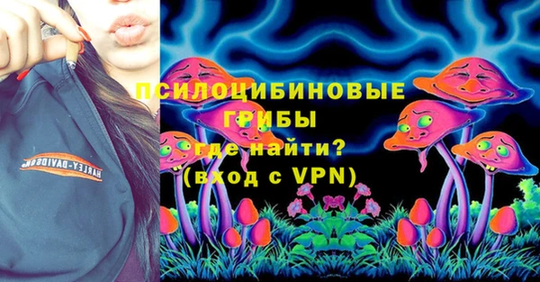 молекула духа Алексин