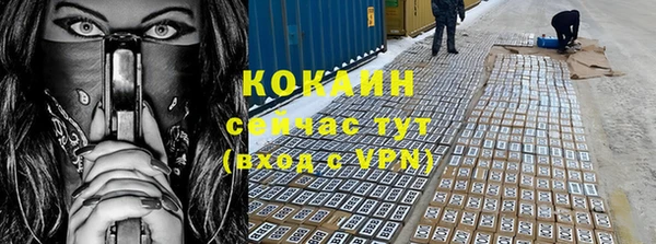молекула духа Алексин