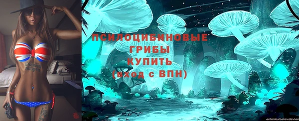 бошки Алзамай