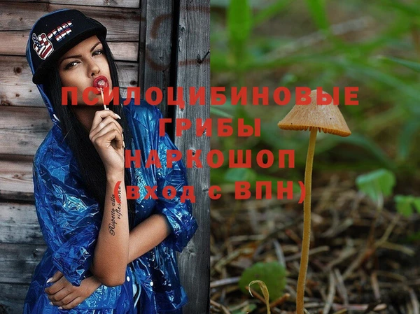 герыч Алексеевка
