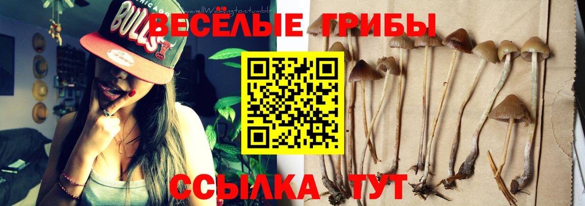 Псилоцибиновые грибы ЛСД Березники