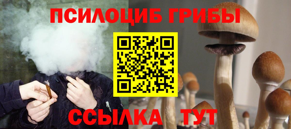 Псилоцибиновые грибы Psilocybe  Вход с VPN  Березники 